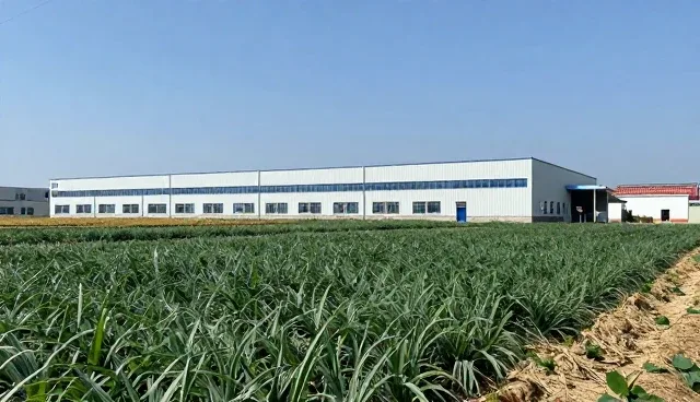 农产品供应链优化趋势下的数字化实践